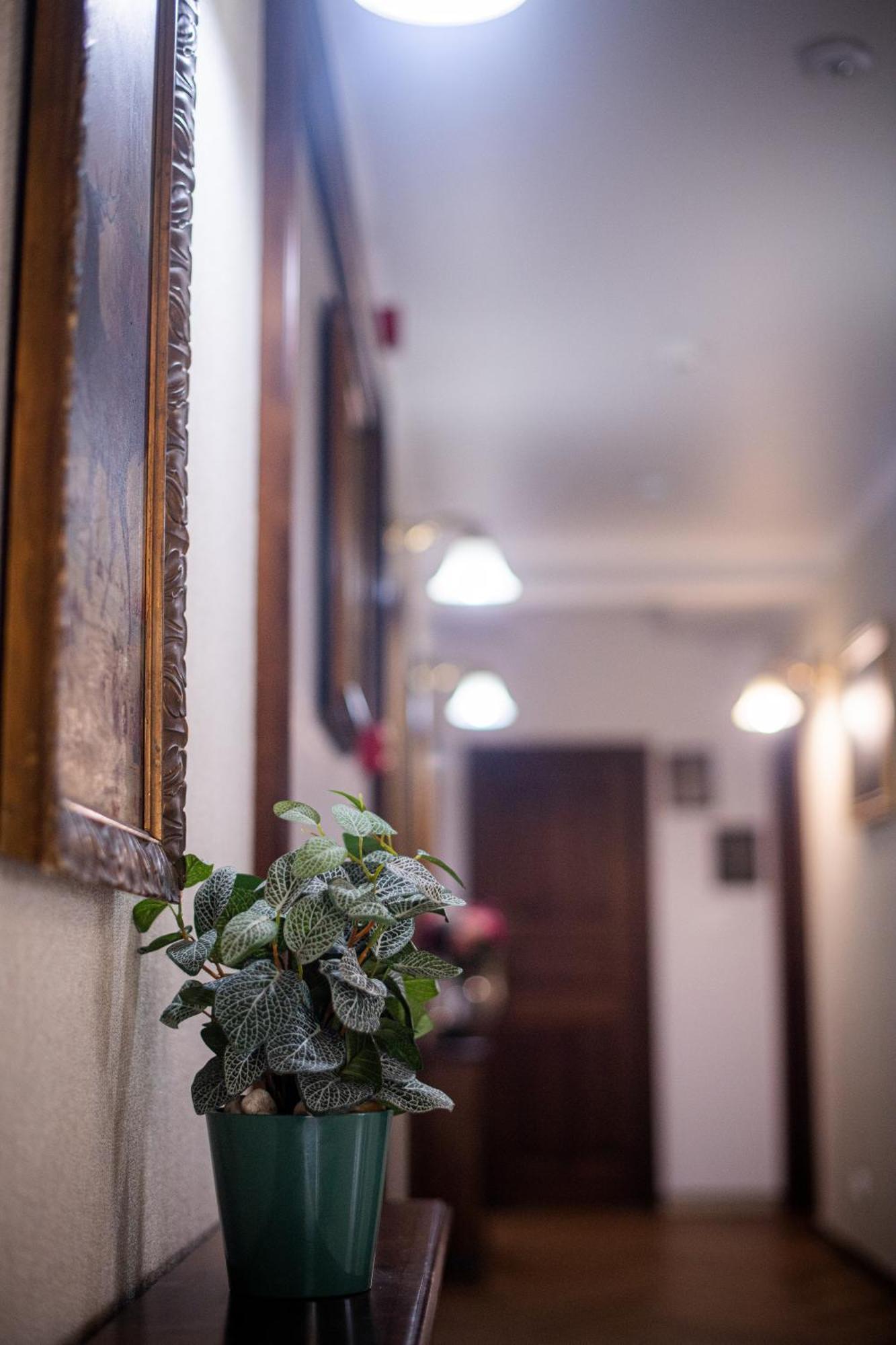 Pensiunea Nora Prestige Timisoara Exterior photo